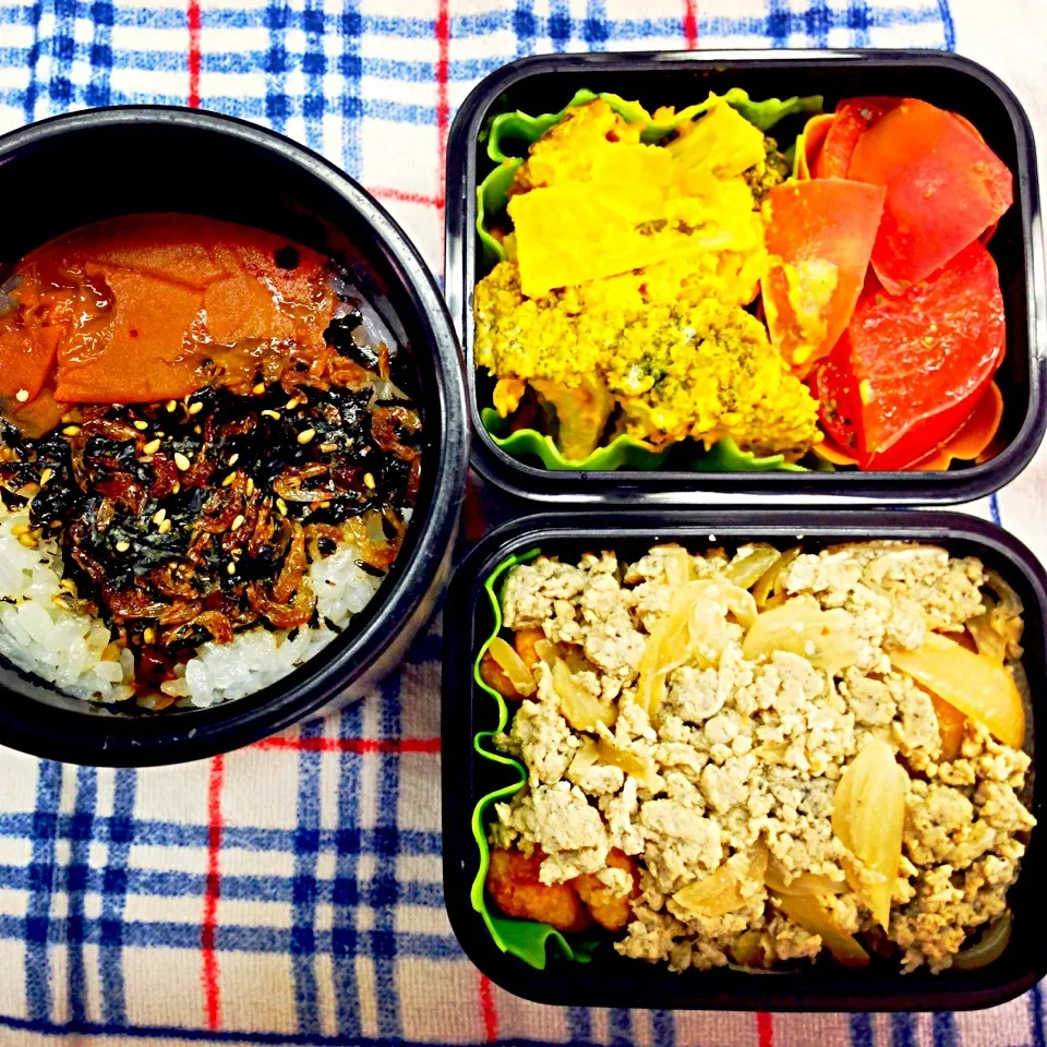 シャケフリッター卵そぼろ玉ねぎ入り弁当(*^o^*)|hassanさん