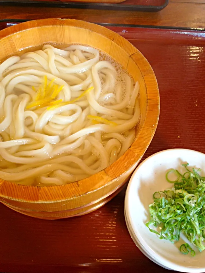 お昼は釜揚げうどん|のんきーもんきーさん