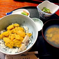 Snapdishの料理写真:生うに丼といちご煮セット！|シュウさん