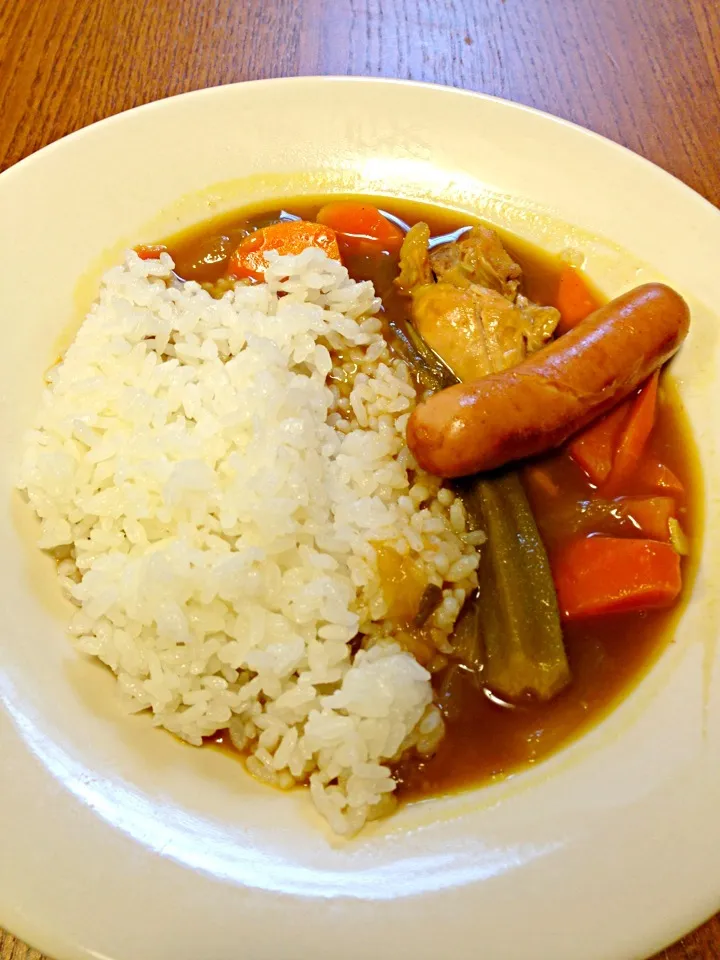 朝食 昨日の残りのスープカレー。|プラムてつ。さん