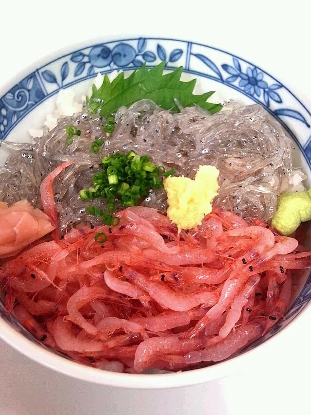 焼津お魚センター 
生しらすと桜えび丼|じょうさん