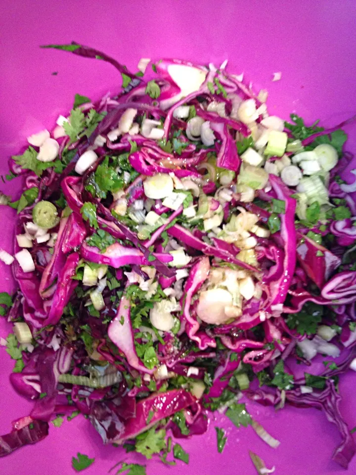 purple cabbage coleslaw|Matthew Cashenさん