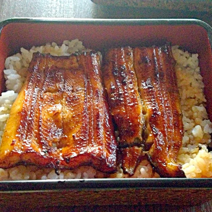 鰻重|炊かれたいオトコ おこん 小栁津さん