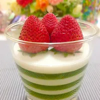 🍀Pandan and coconut layered jelly 🍓 ( วุ้นกะทิใบเตย )