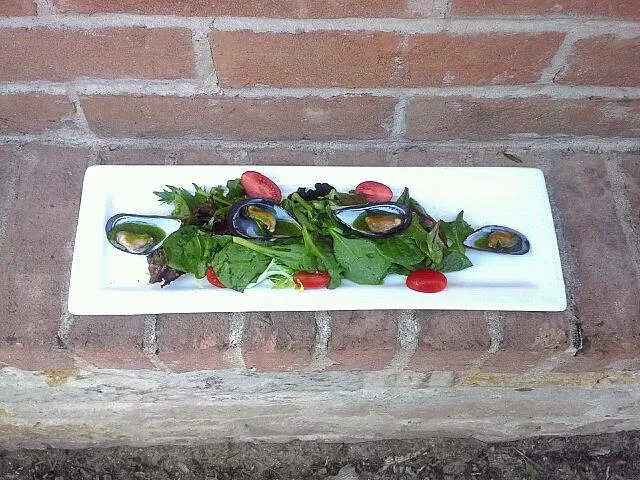 Insalata di Cozze. Lemon-white wine poached mussels, tomato, mixed greens, and salsa verde.|Austin Greenさん