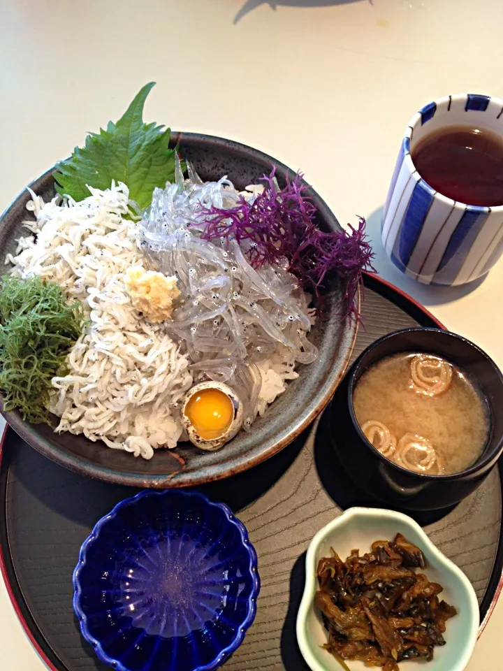 しらす丼定食|7aさん