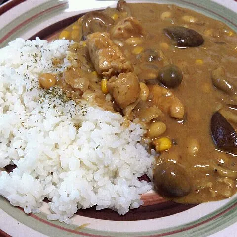 ココナッツカレー|まあぶさん