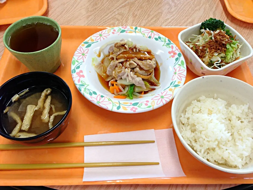 Snapdishの料理写真:１／２日分の野菜と茹で豚あんかけ保管する他(^O^)／|すかラインさん