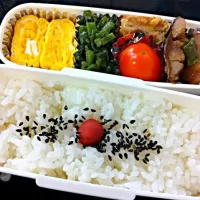 お弁当|michelleさん