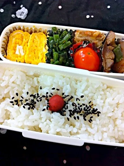 お弁当|michelleさん