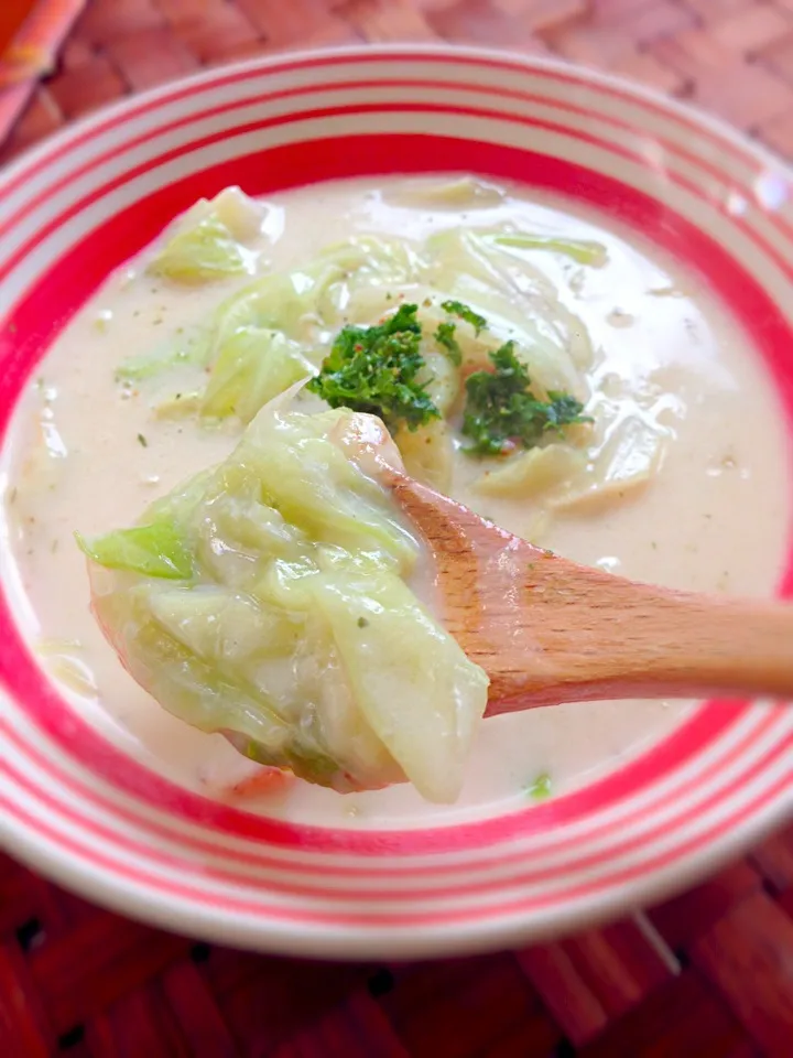 Melting cabbage Cheese cream soup♨とろけるｷｬﾍﾞﾂのﾁｰｽﾞｸﾘｰﾑｽｰﾌﾟ|🌈Ami🍻さん