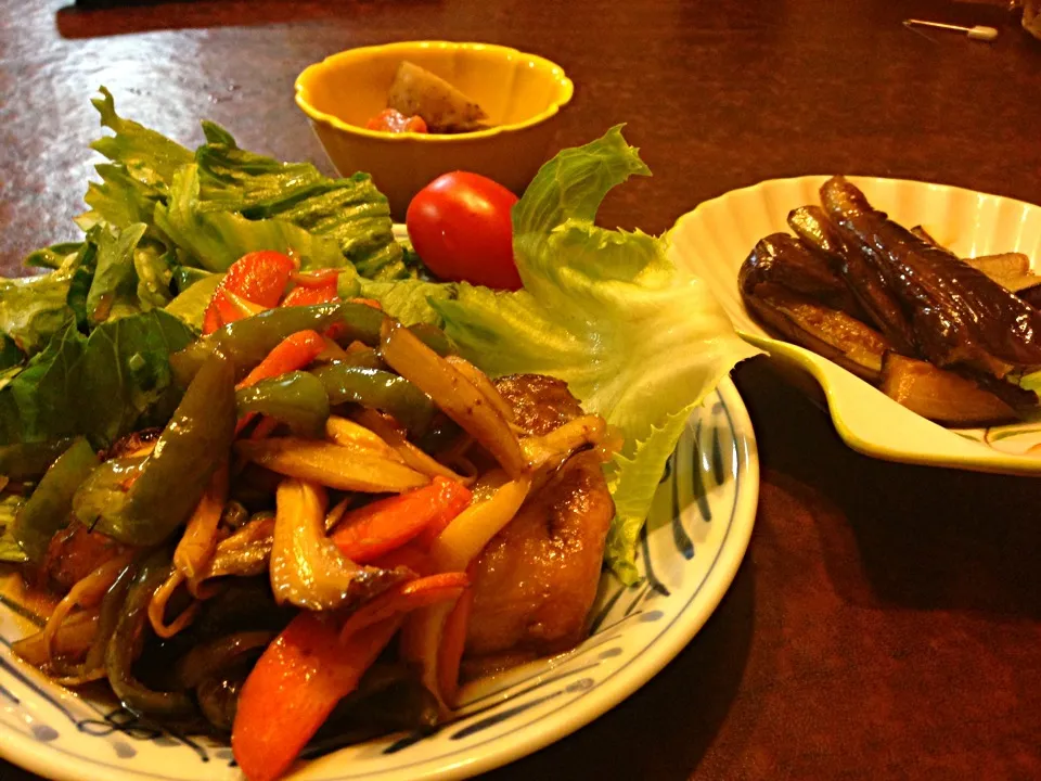 ブリの彩り野菜の南蛮炒め ナスの甘辛煮 筑前煮|香山ありすさん