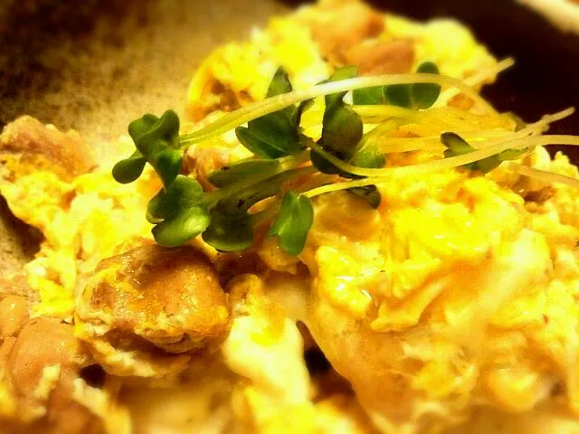 とろとろ～♥親子丼|正木伶果さん