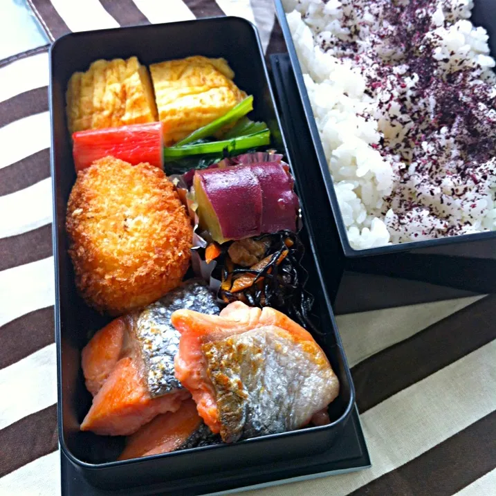 今日のお弁当|marumogさん