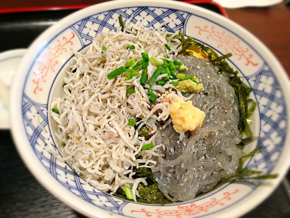 Snapdishの料理写真:しらす丼|あおいさん