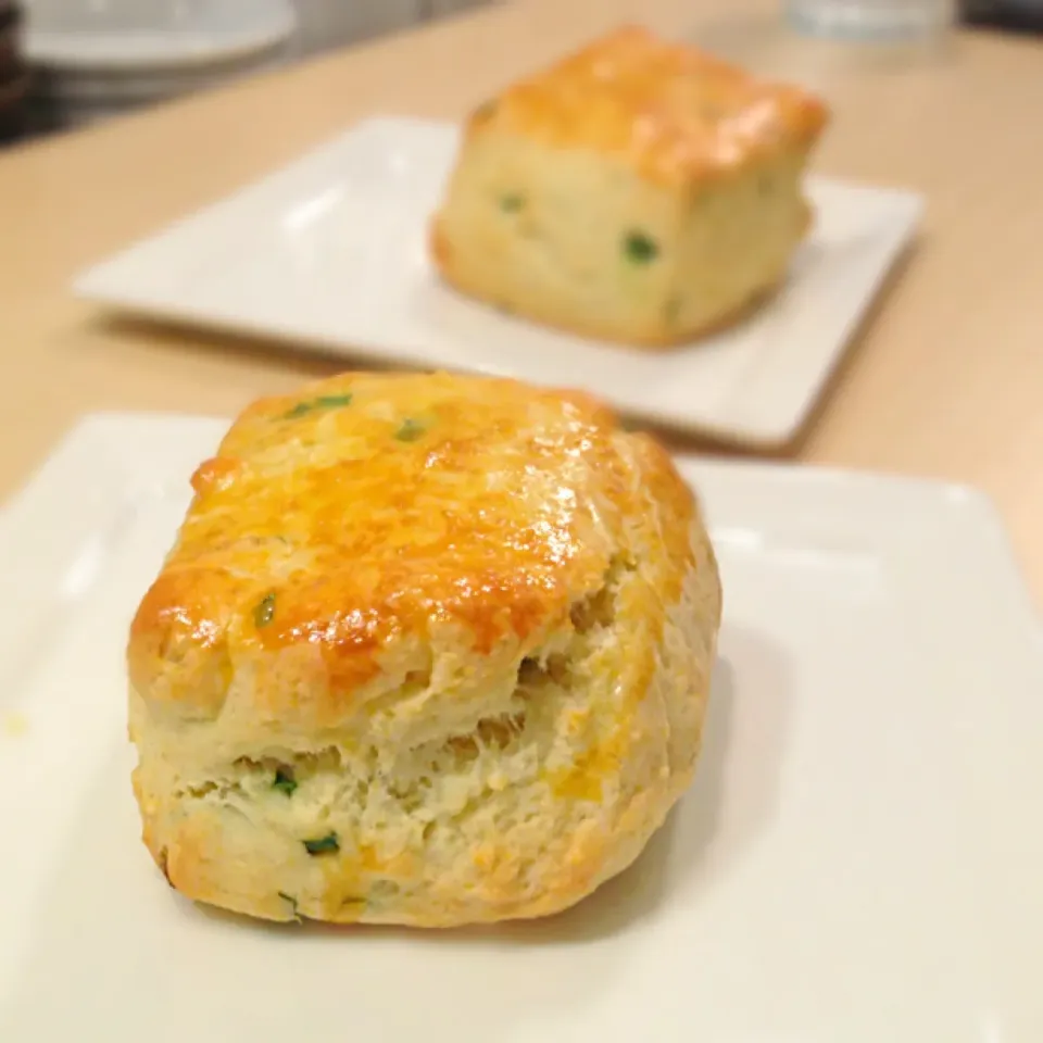 Scallion & cheese scones|willzさん