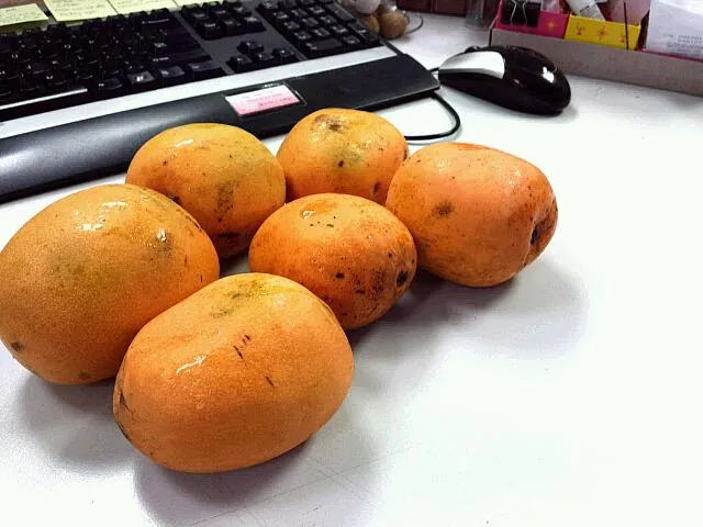 Dad brought back mangoes from Jakarta.  They're the sweetest mangoes  I've tasted.|genさん