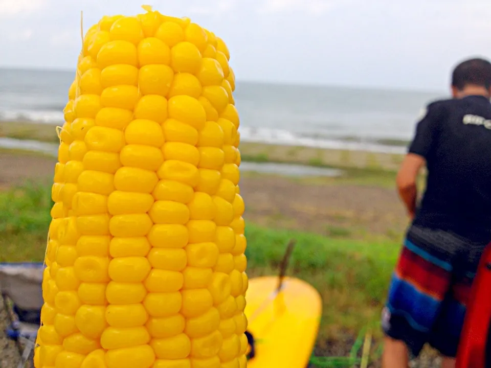 日本一甘いトウモロコシって🌽|かずみさん