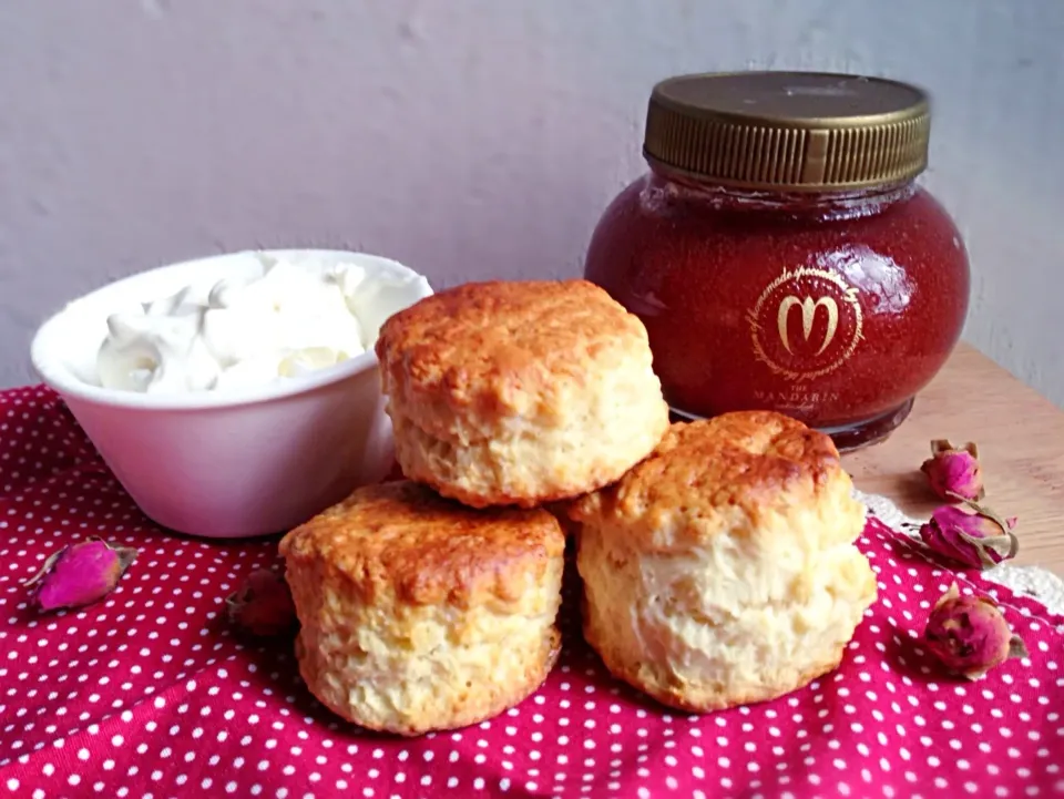 English scone with homemade clotted cream|Misstyさん