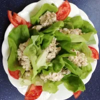 Chicken salad wraps|Dimitraさん