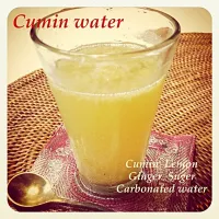 Snapdishの料理写真:जीरा पानी〜Cumin water