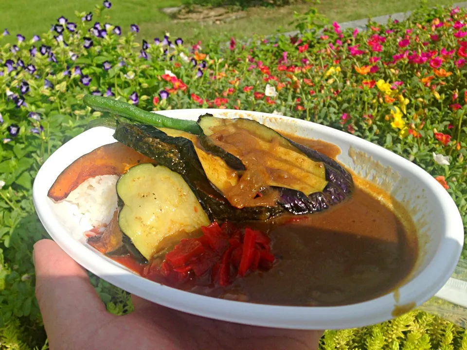 夏野菜カレー(ファジフーズ)|濱山賢二さん