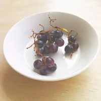 Blueberry Grapes|Tayler Reneeさん