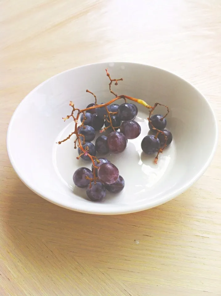 Blueberry Grapes|Tayler Reneeさん