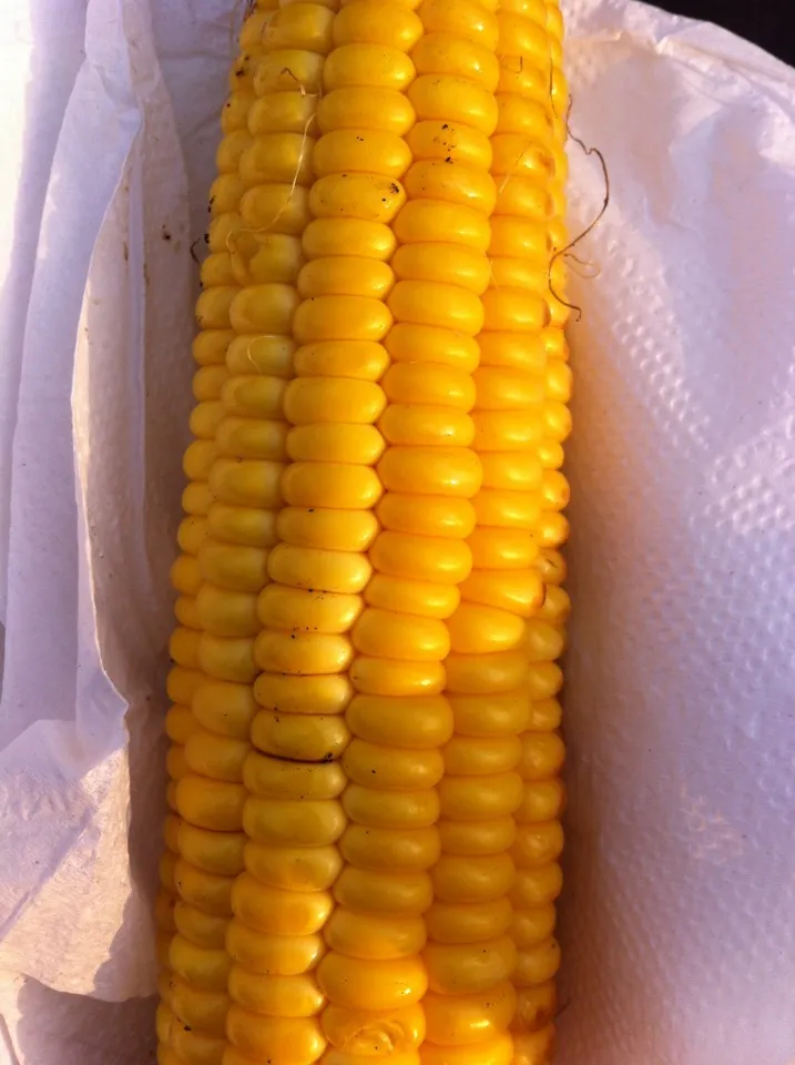 Corn on the Cob @ Notting Hill Carnival, 2013|Nick Hiderさん