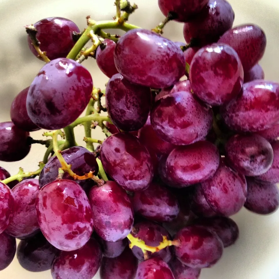 Snapdishの料理写真:Grapes, Washed by me lol ... (Origin Unknown)|Curt Chillさん