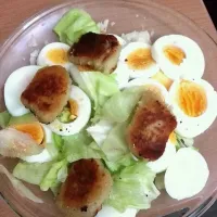 lettuce salad|yon robさん