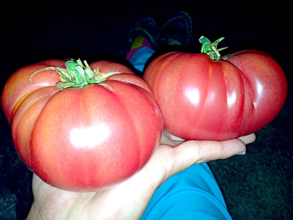 Homegrown Heirloom Tomatoes|Jenniferさん