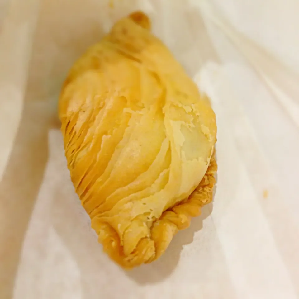 Curry puff|willzさん