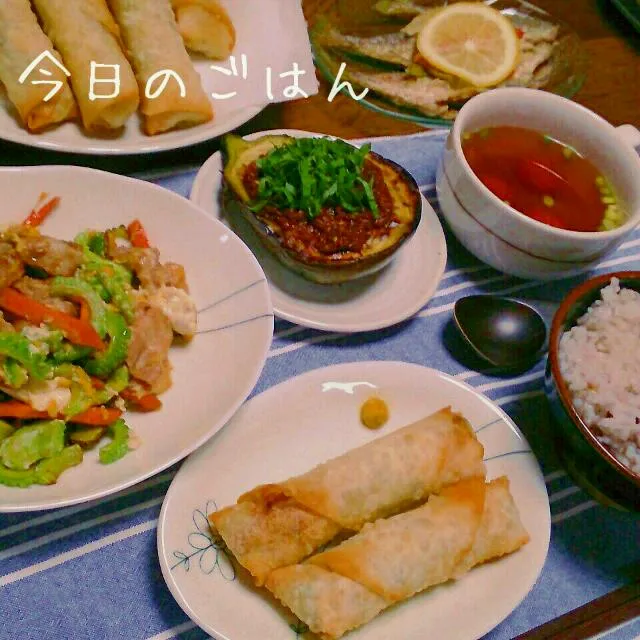 Snapdishの料理写真:晩御飯！ご近所さんからなすいただきました～♪|シェリリンさん