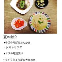 Snapdishの料理写真:夏料理|nitaさん