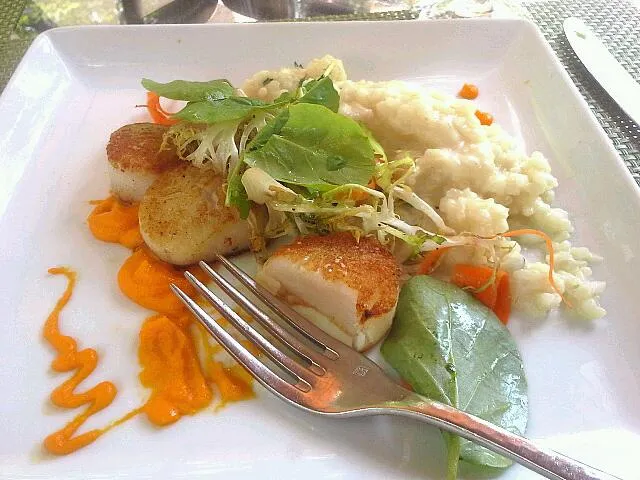 seared scallops, l'auberge, sedona|gra chaさん