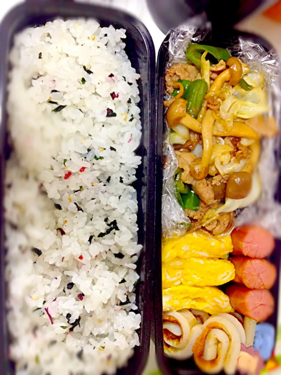 Snapdishの料理写真:回鍋肉のお弁当|Kana♡さん