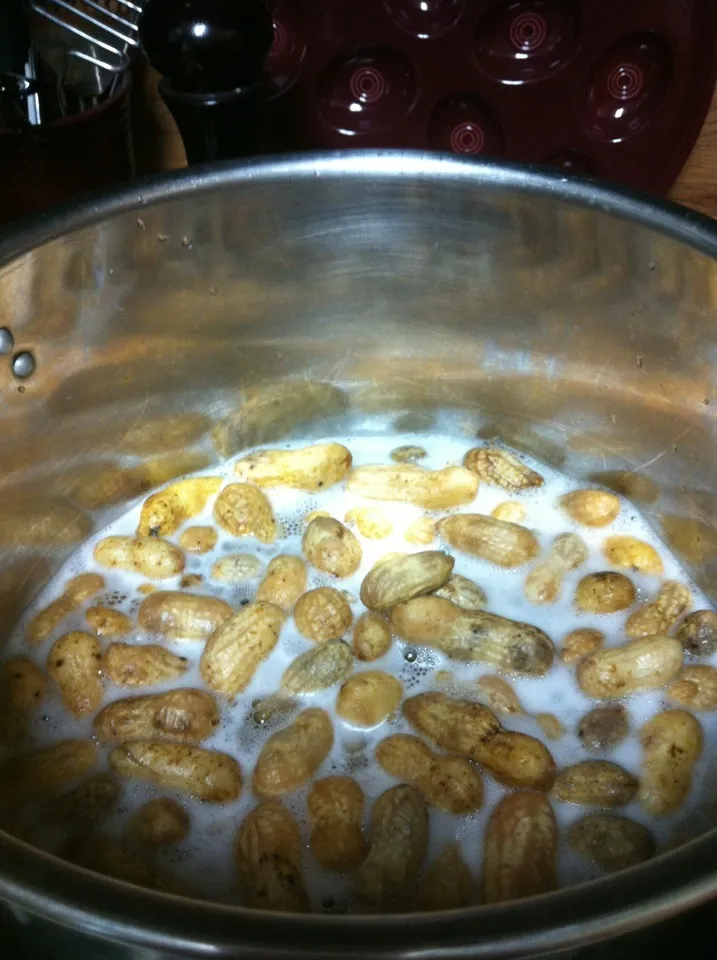 Cajun style boiled peanuts|Terry Millerさん