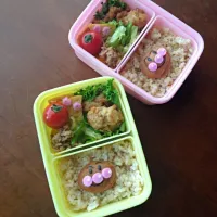 Snapdishの料理写真:梅干しアンパンマンのお弁当