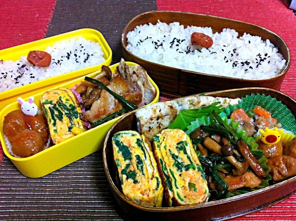 Snapdishの料理写真:本日の彼氏くんお弁当。|ねこ。さん