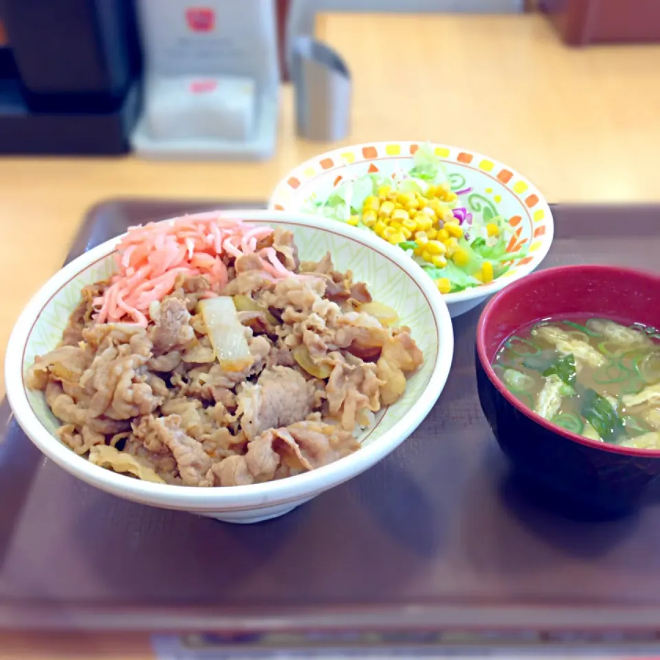 牛丼中盛サラダセット|おかっぴーさん