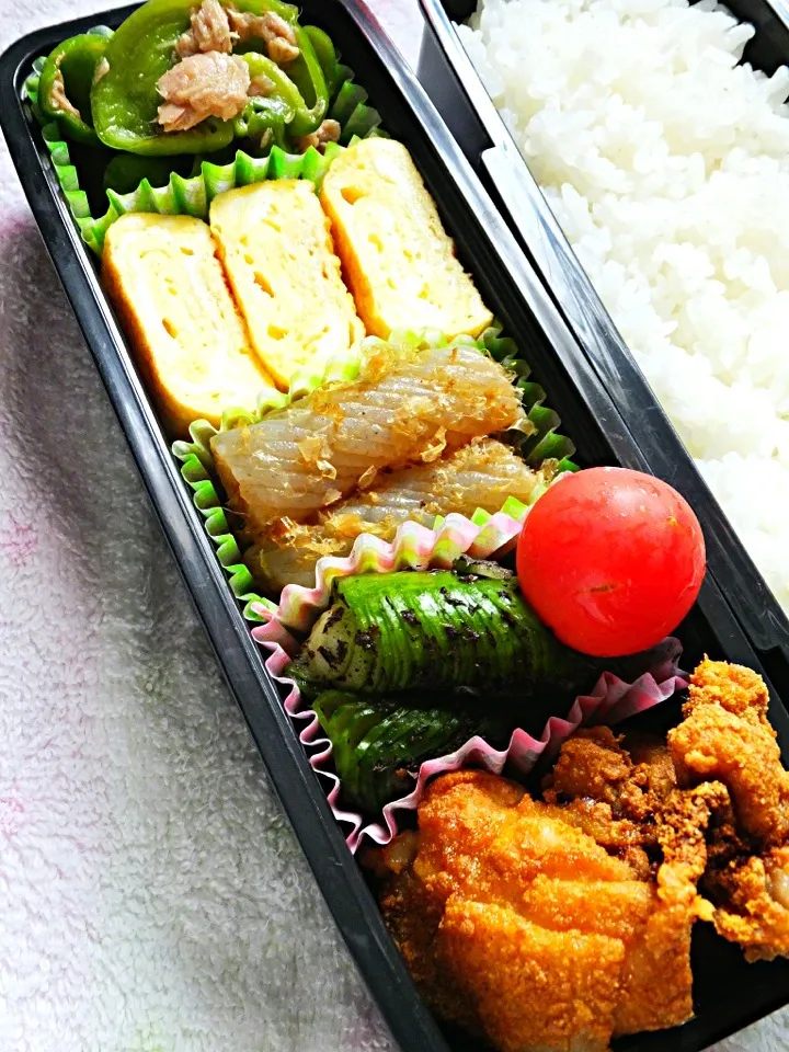 万願寺ツナ、きゅうりのゆかり和え弁当|はなももさん