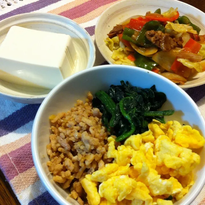 三色丼、野菜炒め、冷奴|きりママさん