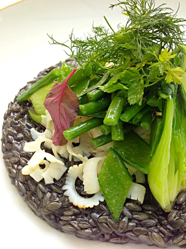 squid ink risoni|michael nassarさん