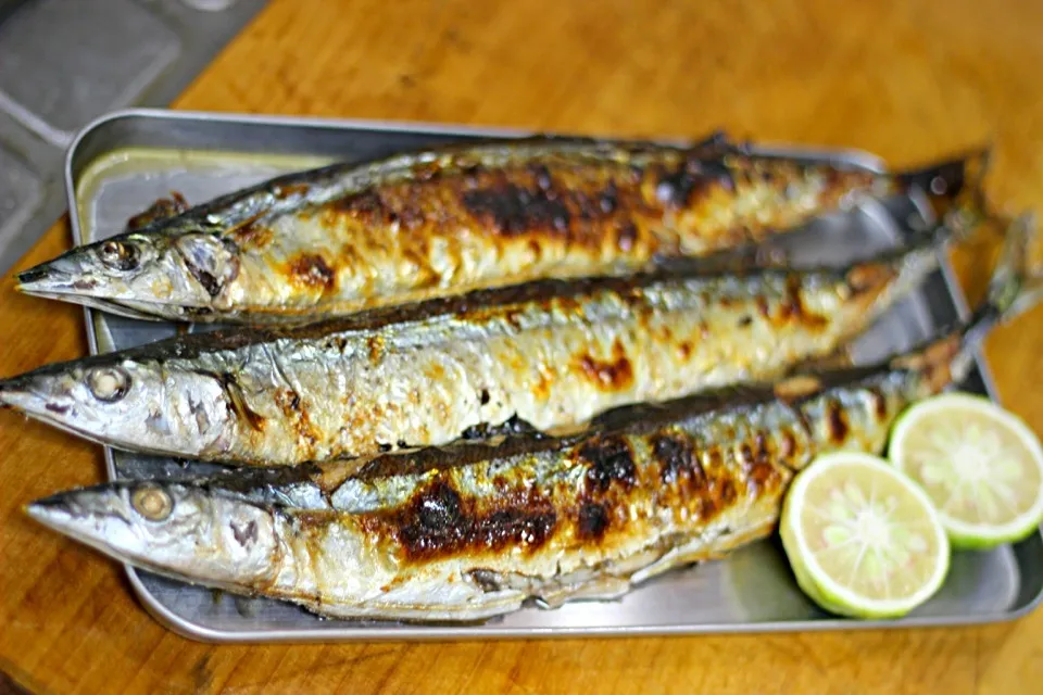 秋刀魚の季節です。|さくたろうさん