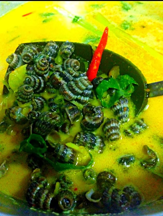 Lemak Siput Sedut|Mummy Masayuさん