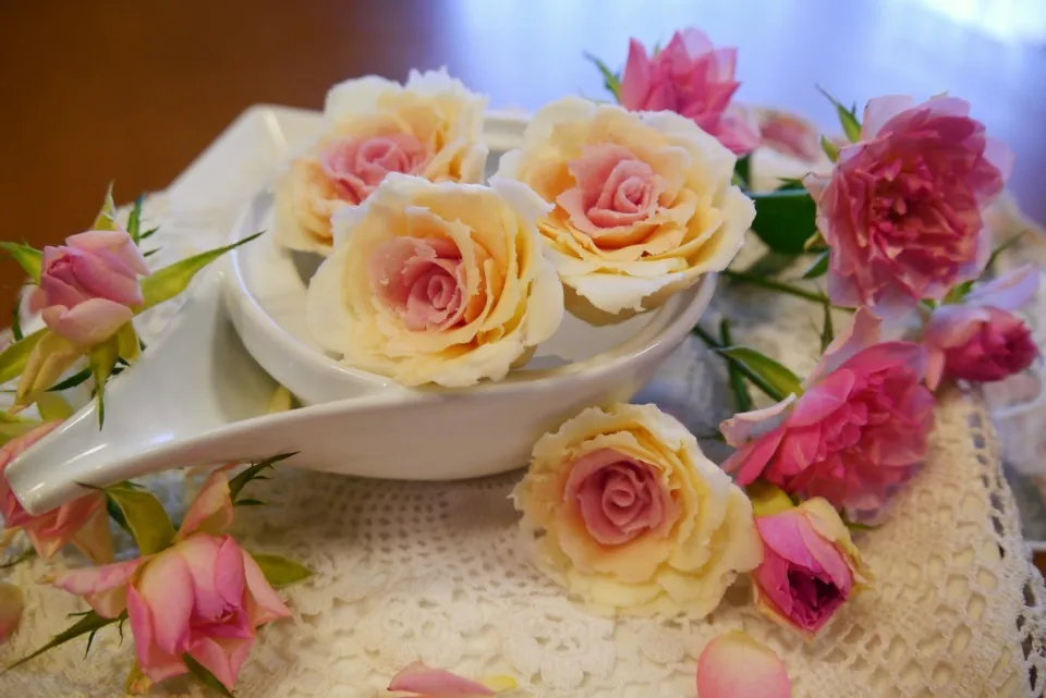 🌹プラチョコの薔薇🌹|メイスイさん