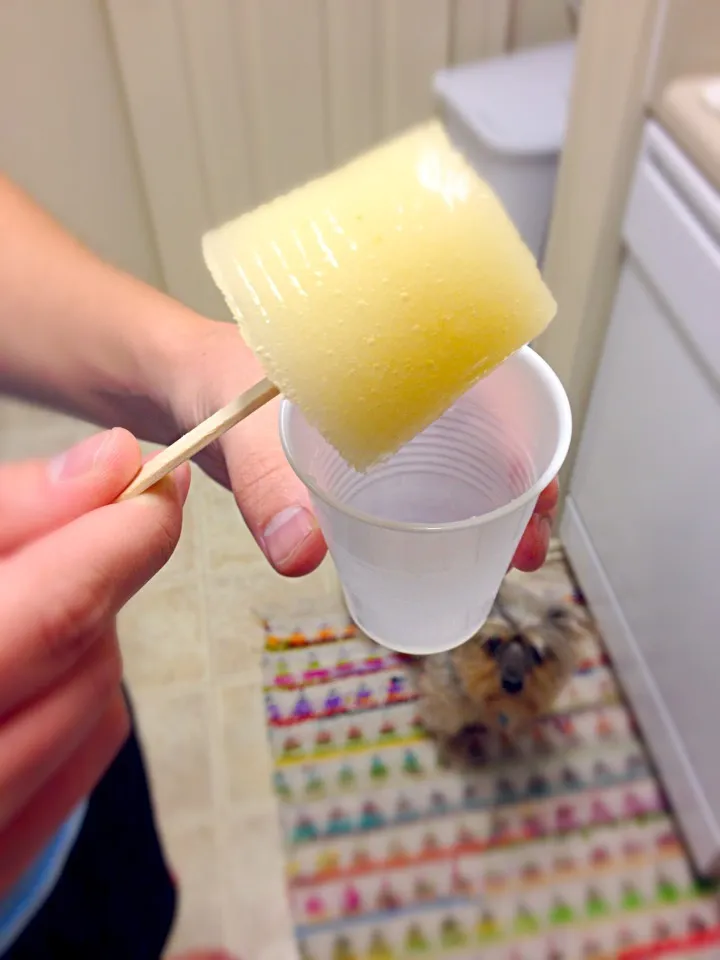 Sauvignon blanc pear pops.|lindseyさん