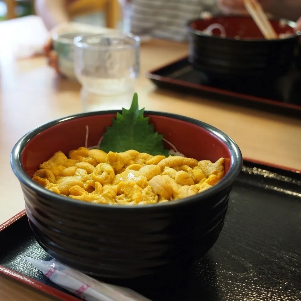 北海道で絶品ウニ丼(^o^)|168さん