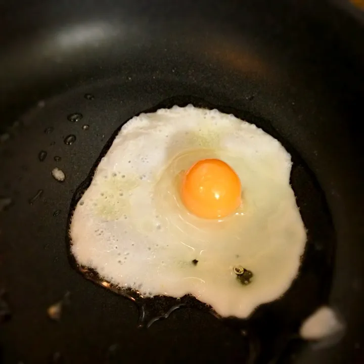 焼き冷凍卵|嘉禾さん